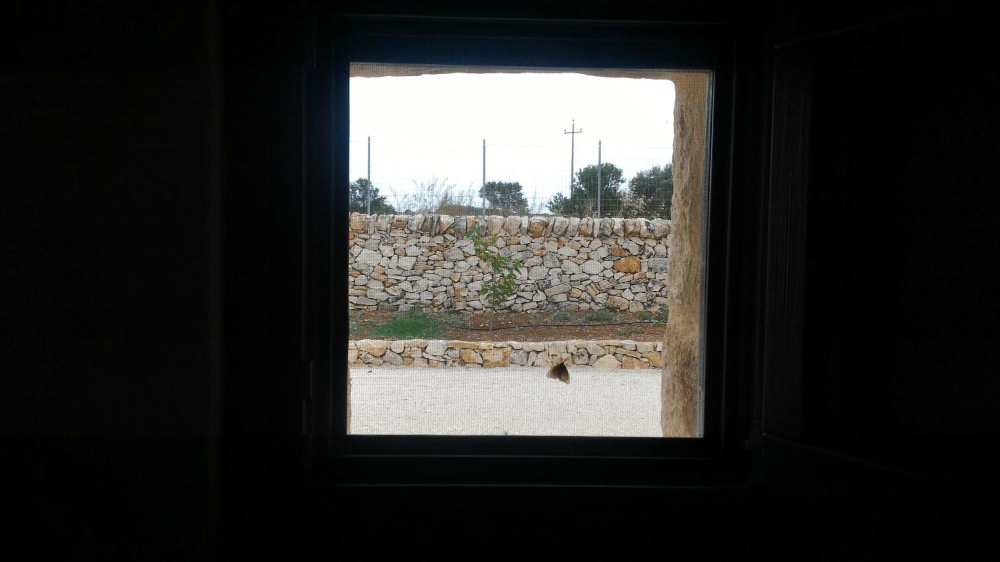 Trulli Don Diego Bed & Breakfast Ночи Екстериор снимка