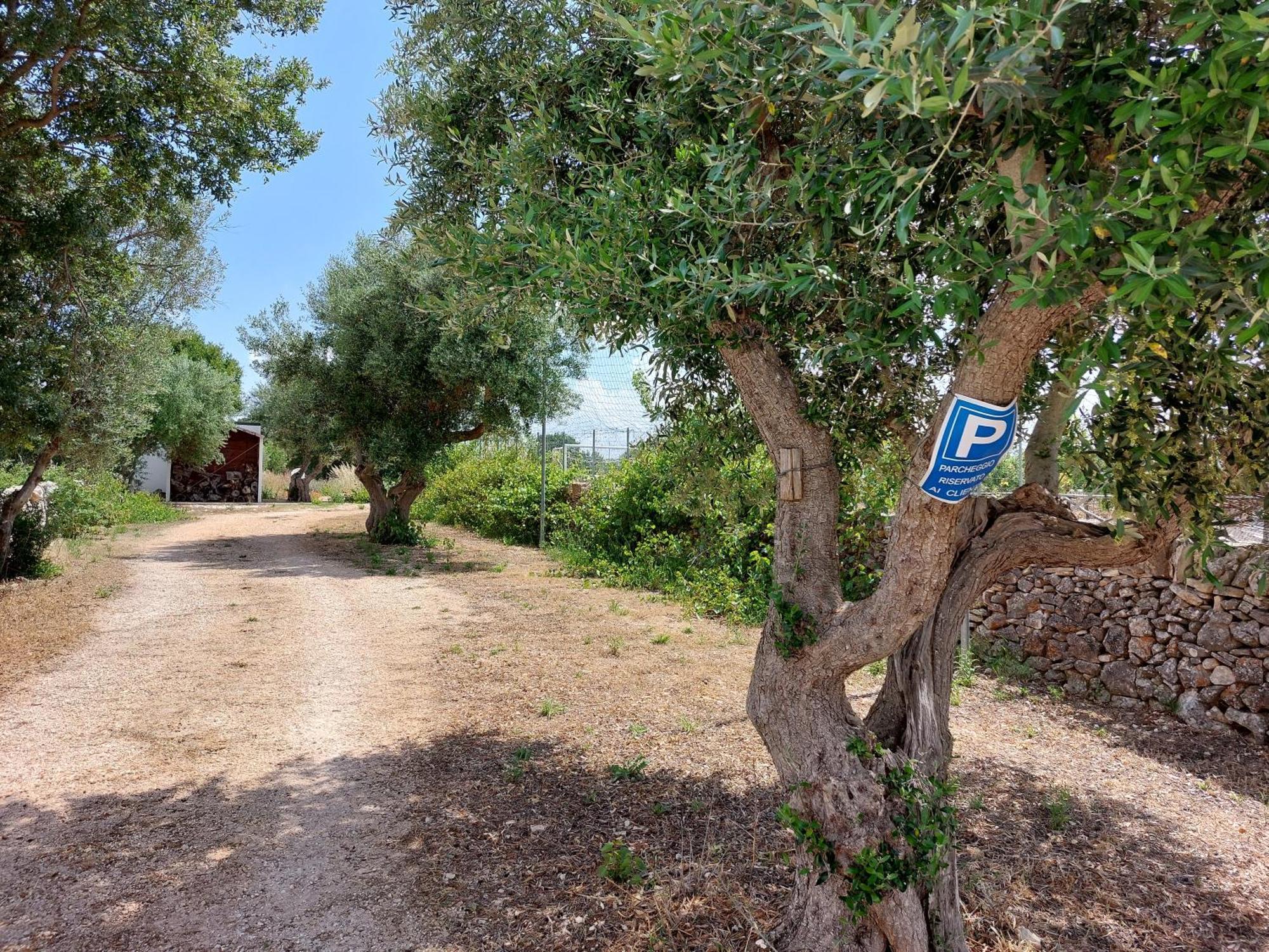 Trulli Don Diego Bed & Breakfast Ночи Екстериор снимка