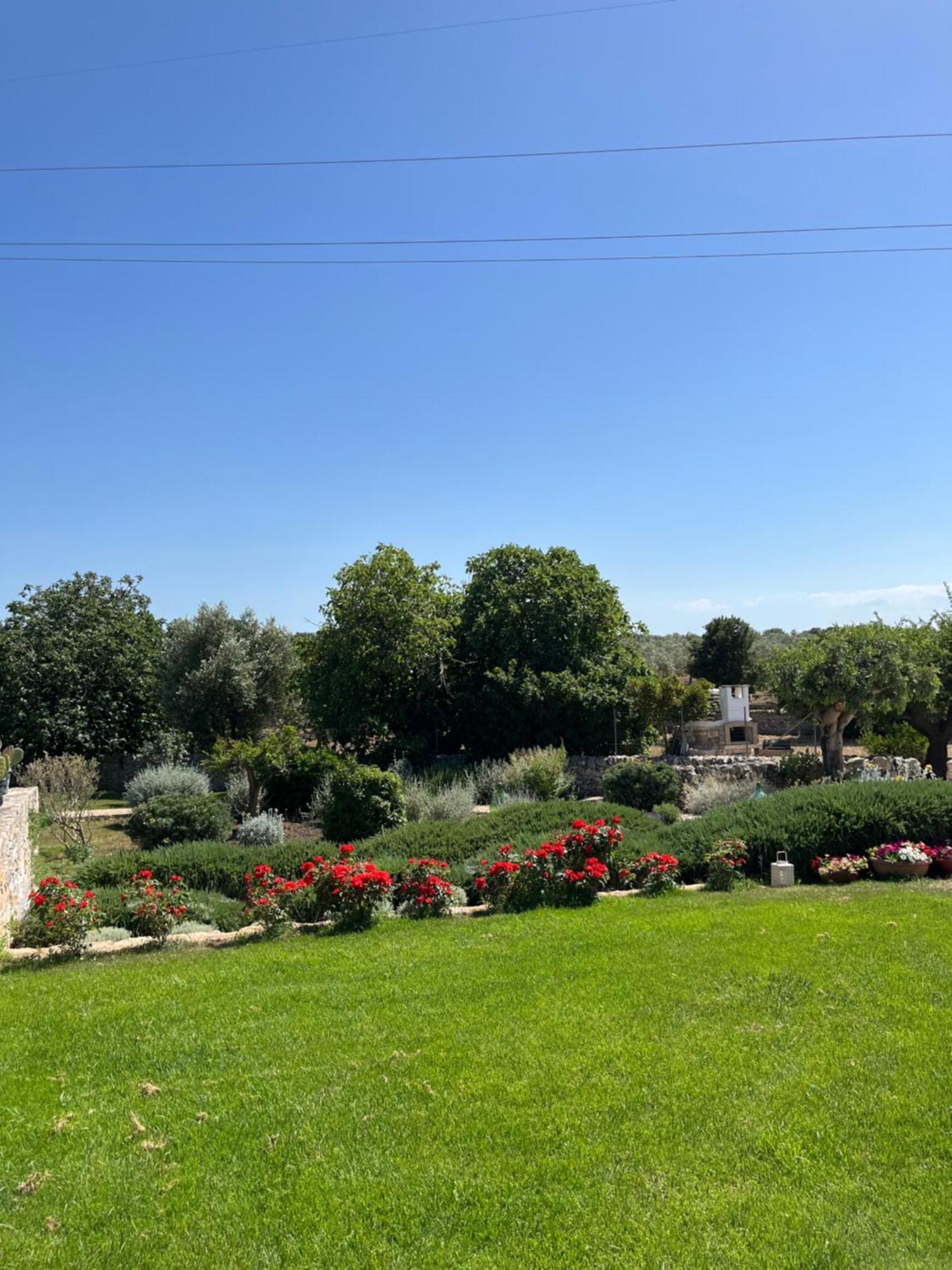 Trulli Don Diego Bed & Breakfast Ночи Екстериор снимка