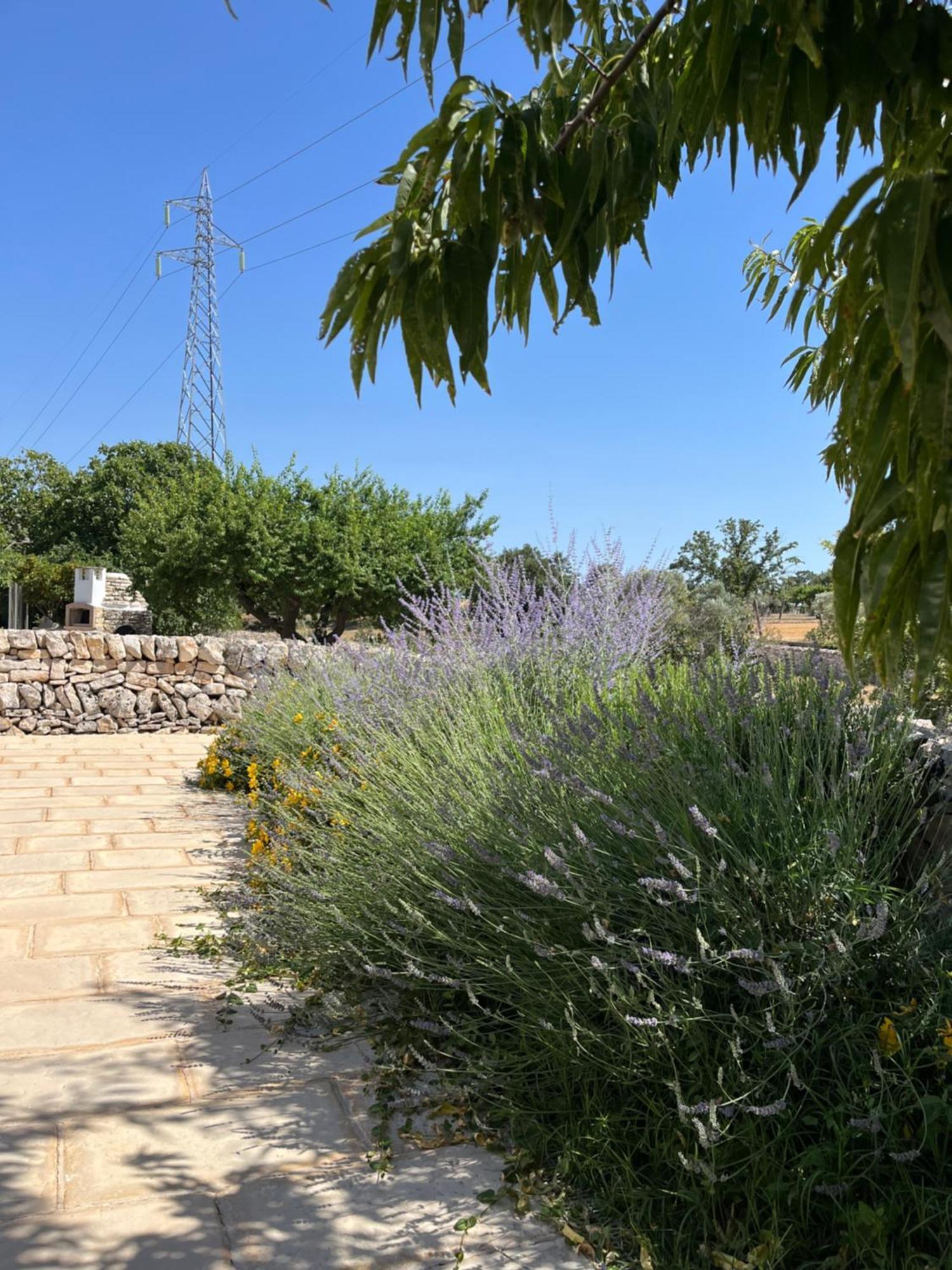 Trulli Don Diego Bed & Breakfast Ночи Екстериор снимка