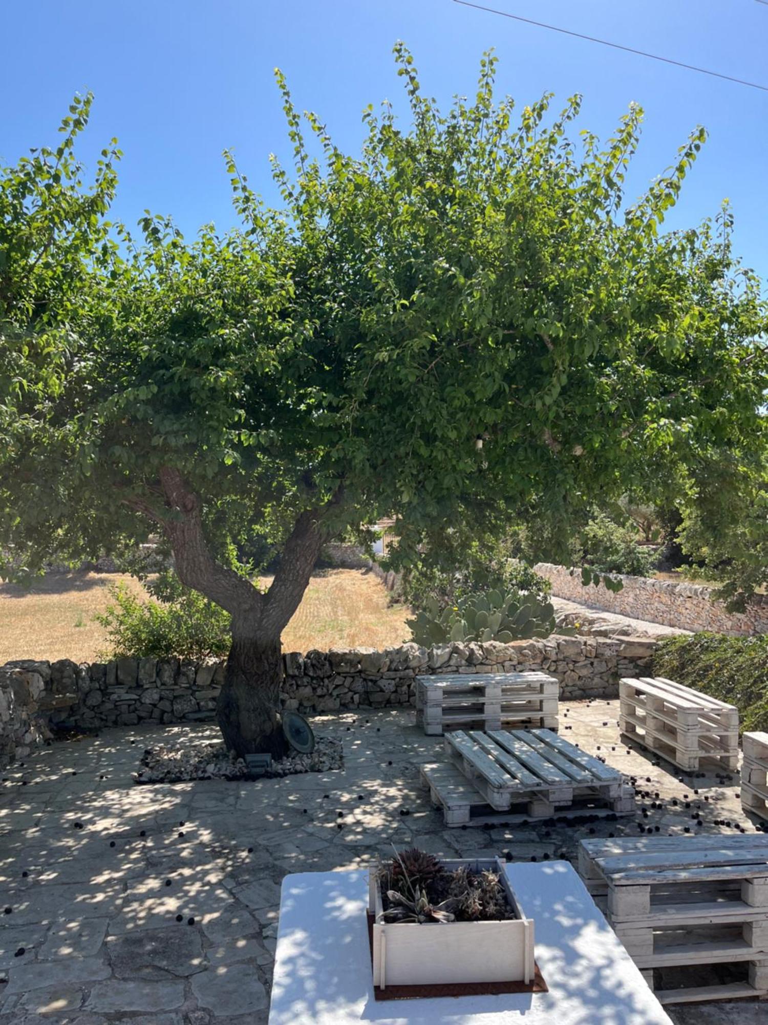 Trulli Don Diego Bed & Breakfast Ночи Екстериор снимка